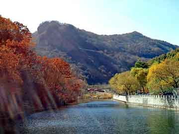 新澳天天开奖资料大全旅游团，郑州纸盒加工厂